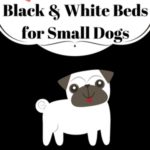 Black and White Dog Bed for Small Dogs