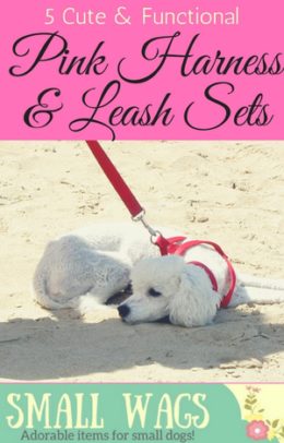 Pink Dog Harness and Leash