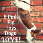 Pink Pig Dog Toy