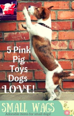 Pink Pig Dog Toy