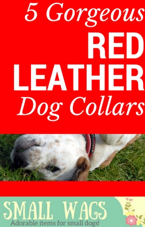 Red Leather Dog Collar