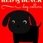 Red and Black Dog Collar