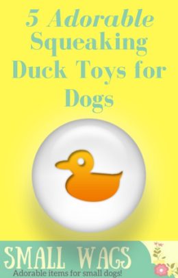 Squeaky Duck Dog Toy